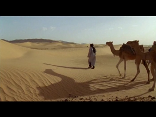 sahara with michael palin 3rd series. absolute desert / sahara with michael palin (2002)