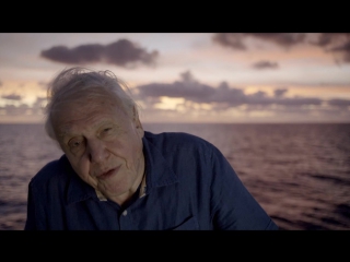 great barrier reef with david attenborough 1st series. builders / great barrier reef with david attenborough (2016) hd 720p