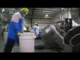 food factory 3rd season 14th episode. fish day / food factory (2013)