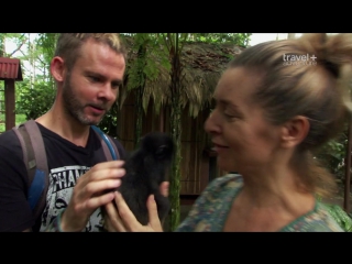 dominic monaghan and the wild creatures: season 2 episode 3 (phyllomedusa lemur. costa rica) hd 720p