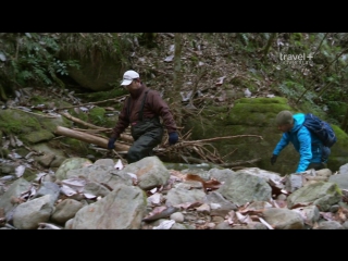 dominic monaghan and the wild creatures season 2 episode 9 (giant salamander japan) hd 720p