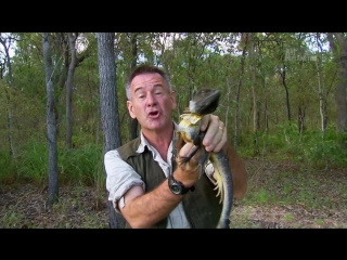 most dangerous snakes with nigel marvin: season 2 episode 2 (australia) hd