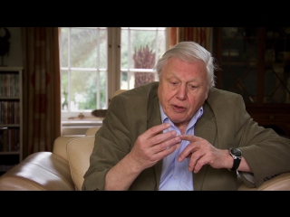 attenborough. 60 years with the wild: episode 1 (life in a camera lens) hd