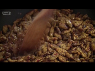 unusual food. america / bizarre foods america / season 1 episode 4