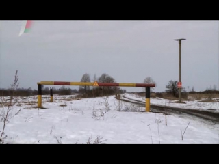 radioactive wolves of chernobyl / radioactive wolves / 2011 - documentary